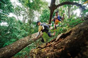 BIB: 
                            <button type="button" onclick="openModal(22779280)" class="btn btn-primary btn-sm float-right btn-popup" data-toggle="modal" data-target=".modal-high-quality">
                        <i class="fas fa-shopping-cart"></i> Add to Cart
                    </button>
                                            <button type="button" onclick="isThisMe(22779280, true)" class="btn btn-success btn-sm float-right btn-popup btn-isme hidden" data-toggle="tooltip" data-placement="bottom" title="นี่คือรูปของคุณใช่ไหม คลิกที่นี่เพื่อเอาเข้าอัลบั้ม">
                        <i class="fas fa-plus"></i> Add to album
                    </button>
                    <button type="button" onclick="isThisMe(22779280, false)" class="btn btn-warning btn-sm float-right btn-popup btn-isnotme hidden">
                        <i class="fas fa-ban"></i> Remove from album
                    </button>