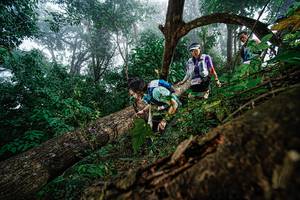 BIB: 
                            <button type="button" onclick="openModal(22778710)" class="btn btn-primary btn-sm float-right btn-popup" data-toggle="modal" data-target=".modal-high-quality">
                        <i class="fas fa-shopping-cart"></i> Add to Cart
                    </button>
                                            <button type="button" onclick="isThisMe(22778710, true)" class="btn btn-success btn-sm float-right btn-popup btn-isme hidden" data-toggle="tooltip" data-placement="bottom" title="นี่คือรูปของคุณใช่ไหม คลิกที่นี่เพื่อเอาเข้าอัลบั้ม">
                        <i class="fas fa-plus"></i> Add to album
                    </button>
                    <button type="button" onclick="isThisMe(22778710, false)" class="btn btn-warning btn-sm float-right btn-popup btn-isnotme hidden">
                        <i class="fas fa-ban"></i> Remove from album
                    </button>