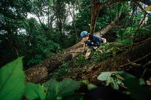 BIB: 
                            <button type="button" onclick="openModal(22776854)" class="btn btn-primary btn-sm float-right btn-popup" data-toggle="modal" data-target=".modal-high-quality">
                        <i class="fas fa-shopping-cart"></i> Add to Cart
                    </button>
                                            <button type="button" onclick="isThisMe(22776854, true)" class="btn btn-success btn-sm float-right btn-popup btn-isme hidden" data-toggle="tooltip" data-placement="bottom" title="นี่คือรูปของคุณใช่ไหม คลิกที่นี่เพื่อเอาเข้าอัลบั้ม">
                        <i class="fas fa-plus"></i> Add to album
                    </button>
                    <button type="button" onclick="isThisMe(22776854, false)" class="btn btn-warning btn-sm float-right btn-popup btn-isnotme hidden">
                        <i class="fas fa-ban"></i> Remove from album
                    </button>