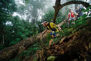 BIB: 
                            <button type="button" onclick="openModal(22778789)" class="btn btn-primary btn-sm float-right btn-popup" data-toggle="modal" data-target=".modal-high-quality">
                        <i class="fas fa-shopping-cart"></i> Add to Cart
                    </button>
                                            <button type="button" onclick="isThisMe(22778789, true)" class="btn btn-success btn-sm float-right btn-popup btn-isme hidden" data-toggle="tooltip" data-placement="bottom" title="นี่คือรูปของคุณใช่ไหม คลิกที่นี่เพื่อเอาเข้าอัลบั้ม">
                        <i class="fas fa-plus"></i> Add to album
                    </button>
                    <button type="button" onclick="isThisMe(22778789, false)" class="btn btn-warning btn-sm float-right btn-popup btn-isnotme hidden">
                        <i class="fas fa-ban"></i> Remove from album
                    </button>