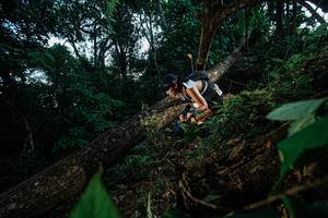 BIB: 
                            <button type="button" onclick="openModal(22775067)" class="btn btn-primary btn-sm float-right btn-popup" data-toggle="modal" data-target=".modal-high-quality">
                        <i class="fas fa-shopping-cart"></i> Add to Cart
                    </button>
                                            <button type="button" onclick="isThisMe(22775067, true)" class="btn btn-success btn-sm float-right btn-popup btn-isme hidden" data-toggle="tooltip" data-placement="bottom" title="นี่คือรูปของคุณใช่ไหม คลิกที่นี่เพื่อเอาเข้าอัลบั้ม">
                        <i class="fas fa-plus"></i> Add to album
                    </button>
                    <button type="button" onclick="isThisMe(22775067, false)" class="btn btn-warning btn-sm float-right btn-popup btn-isnotme hidden">
                        <i class="fas fa-ban"></i> Remove from album
                    </button>