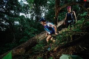 BIB: 
                            <button type="button" onclick="openModal(22775658)" class="btn btn-primary btn-sm float-right btn-popup" data-toggle="modal" data-target=".modal-high-quality">
                        <i class="fas fa-shopping-cart"></i> Add to Cart
                    </button>
                                            <button type="button" onclick="isThisMe(22775658, true)" class="btn btn-success btn-sm float-right btn-popup btn-isme hidden" data-toggle="tooltip" data-placement="bottom" title="นี่คือรูปของคุณใช่ไหม คลิกที่นี่เพื่อเอาเข้าอัลบั้ม">
                        <i class="fas fa-plus"></i> Add to album
                    </button>
                    <button type="button" onclick="isThisMe(22775658, false)" class="btn btn-warning btn-sm float-right btn-popup btn-isnotme hidden">
                        <i class="fas fa-ban"></i> Remove from album
                    </button>