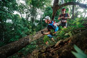 BIB: 
                            <button type="button" onclick="openModal(22778228)" class="btn btn-primary btn-sm float-right btn-popup" data-toggle="modal" data-target=".modal-high-quality">
                        <i class="fas fa-shopping-cart"></i> Add to Cart
                    </button>
                                            <button type="button" onclick="isThisMe(22778228, true)" class="btn btn-success btn-sm float-right btn-popup btn-isme hidden" data-toggle="tooltip" data-placement="bottom" title="นี่คือรูปของคุณใช่ไหม คลิกที่นี่เพื่อเอาเข้าอัลบั้ม">
                        <i class="fas fa-plus"></i> Add to album
                    </button>
                    <button type="button" onclick="isThisMe(22778228, false)" class="btn btn-warning btn-sm float-right btn-popup btn-isnotme hidden">
                        <i class="fas fa-ban"></i> Remove from album
                    </button>