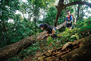 BIB: 
                            <button type="button" onclick="openModal(22778056)" class="btn btn-primary btn-sm float-right btn-popup" data-toggle="modal" data-target=".modal-high-quality">
                        <i class="fas fa-shopping-cart"></i> Add to Cart
                    </button>
                                            <button type="button" onclick="isThisMe(22778056, true)" class="btn btn-success btn-sm float-right btn-popup btn-isme hidden" data-toggle="tooltip" data-placement="bottom" title="นี่คือรูปของคุณใช่ไหม คลิกที่นี่เพื่อเอาเข้าอัลบั้ม">
                        <i class="fas fa-plus"></i> Add to album
                    </button>
                    <button type="button" onclick="isThisMe(22778056, false)" class="btn btn-warning btn-sm float-right btn-popup btn-isnotme hidden">
                        <i class="fas fa-ban"></i> Remove from album
                    </button>