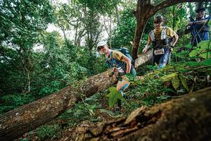 BIB: 5764
                            <button type="button" onclick="openModal(22778522)" class="btn btn-primary btn-sm float-right btn-popup" data-toggle="modal" data-target=".modal-high-quality">
                        <i class="fas fa-shopping-cart"></i> Add to Cart
                    </button>
                                            <button type="button" onclick="isThisMe(22778522, true)" class="btn btn-success btn-sm float-right btn-popup btn-isme hidden" data-toggle="tooltip" data-placement="bottom" title="นี่คือรูปของคุณใช่ไหม คลิกที่นี่เพื่อเอาเข้าอัลบั้ม">
                        <i class="fas fa-plus"></i> Add to album
                    </button>
                    <button type="button" onclick="isThisMe(22778522, false)" class="btn btn-warning btn-sm float-right btn-popup btn-isnotme hidden">
                        <i class="fas fa-ban"></i> Remove from album
                    </button>