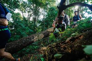 BIB: 
                            <button type="button" onclick="openModal(22777850)" class="btn btn-primary btn-sm float-right btn-popup" data-toggle="modal" data-target=".modal-high-quality">
                        <i class="fas fa-shopping-cart"></i> Add to Cart
                    </button>
                                            <button type="button" onclick="isThisMe(22777850, true)" class="btn btn-success btn-sm float-right btn-popup btn-isme hidden" data-toggle="tooltip" data-placement="bottom" title="นี่คือรูปของคุณใช่ไหม คลิกที่นี่เพื่อเอาเข้าอัลบั้ม">
                        <i class="fas fa-plus"></i> Add to album
                    </button>
                    <button type="button" onclick="isThisMe(22777850, false)" class="btn btn-warning btn-sm float-right btn-popup btn-isnotme hidden">
                        <i class="fas fa-ban"></i> Remove from album
                    </button>