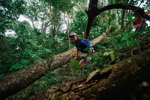 BIB: 
                            <button type="button" onclick="openModal(22779181)" class="btn btn-primary btn-sm float-right btn-popup" data-toggle="modal" data-target=".modal-high-quality">
                        <i class="fas fa-shopping-cart"></i> Add to Cart
                    </button>
                                            <button type="button" onclick="isThisMe(22779181, true)" class="btn btn-success btn-sm float-right btn-popup btn-isme hidden" data-toggle="tooltip" data-placement="bottom" title="นี่คือรูปของคุณใช่ไหม คลิกที่นี่เพื่อเอาเข้าอัลบั้ม">
                        <i class="fas fa-plus"></i> Add to album
                    </button>
                    <button type="button" onclick="isThisMe(22779181, false)" class="btn btn-warning btn-sm float-right btn-popup btn-isnotme hidden">
                        <i class="fas fa-ban"></i> Remove from album
                    </button>