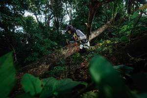 BIB: 
                            <button type="button" onclick="openModal(22777340)" class="btn btn-primary btn-sm float-right btn-popup" data-toggle="modal" data-target=".modal-high-quality">
                        <i class="fas fa-shopping-cart"></i> Add to Cart
                    </button>
                                            <button type="button" onclick="isThisMe(22777340, true)" class="btn btn-success btn-sm float-right btn-popup btn-isme hidden" data-toggle="tooltip" data-placement="bottom" title="นี่คือรูปของคุณใช่ไหม คลิกที่นี่เพื่อเอาเข้าอัลบั้ม">
                        <i class="fas fa-plus"></i> Add to album
                    </button>
                    <button type="button" onclick="isThisMe(22777340, false)" class="btn btn-warning btn-sm float-right btn-popup btn-isnotme hidden">
                        <i class="fas fa-ban"></i> Remove from album
                    </button>