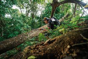 BIB: 
                            <button type="button" onclick="openModal(22778630)" class="btn btn-primary btn-sm float-right btn-popup" data-toggle="modal" data-target=".modal-high-quality">
                        <i class="fas fa-shopping-cart"></i> Add to Cart
                    </button>
                                            <button type="button" onclick="isThisMe(22778630, true)" class="btn btn-success btn-sm float-right btn-popup btn-isme hidden" data-toggle="tooltip" data-placement="bottom" title="นี่คือรูปของคุณใช่ไหม คลิกที่นี่เพื่อเอาเข้าอัลบั้ม">
                        <i class="fas fa-plus"></i> Add to album
                    </button>
                    <button type="button" onclick="isThisMe(22778630, false)" class="btn btn-warning btn-sm float-right btn-popup btn-isnotme hidden">
                        <i class="fas fa-ban"></i> Remove from album
                    </button>