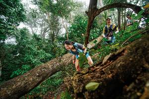 BIB: 
                            <button type="button" onclick="openModal(22779015)" class="btn btn-primary btn-sm float-right btn-popup" data-toggle="modal" data-target=".modal-high-quality">
                        <i class="fas fa-shopping-cart"></i> Add to Cart
                    </button>
                                            <button type="button" onclick="isThisMe(22779015, true)" class="btn btn-success btn-sm float-right btn-popup btn-isme hidden" data-toggle="tooltip" data-placement="bottom" title="นี่คือรูปของคุณใช่ไหม คลิกที่นี่เพื่อเอาเข้าอัลบั้ม">
                        <i class="fas fa-plus"></i> Add to album
                    </button>
                    <button type="button" onclick="isThisMe(22779015, false)" class="btn btn-warning btn-sm float-right btn-popup btn-isnotme hidden">
                        <i class="fas fa-ban"></i> Remove from album
                    </button>