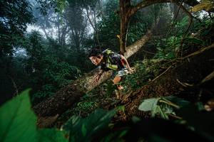 BIB: 
                            <button type="button" onclick="openModal(22776749)" class="btn btn-primary btn-sm float-right btn-popup" data-toggle="modal" data-target=".modal-high-quality">
                        <i class="fas fa-shopping-cart"></i> Add to Cart
                    </button>
                                            <button type="button" onclick="isThisMe(22776749, true)" class="btn btn-success btn-sm float-right btn-popup btn-isme hidden" data-toggle="tooltip" data-placement="bottom" title="นี่คือรูปของคุณใช่ไหม คลิกที่นี่เพื่อเอาเข้าอัลบั้ม">
                        <i class="fas fa-plus"></i> Add to album
                    </button>
                    <button type="button" onclick="isThisMe(22776749, false)" class="btn btn-warning btn-sm float-right btn-popup btn-isnotme hidden">
                        <i class="fas fa-ban"></i> Remove from album
                    </button>