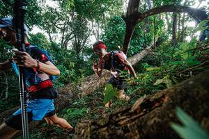 BIB: 
                            <button type="button" onclick="openModal(22778229)" class="btn btn-primary btn-sm float-right btn-popup" data-toggle="modal" data-target=".modal-high-quality">
                        <i class="fas fa-shopping-cart"></i> Add to Cart
                    </button>
                                            <button type="button" onclick="isThisMe(22778229, true)" class="btn btn-success btn-sm float-right btn-popup btn-isme hidden" data-toggle="tooltip" data-placement="bottom" title="นี่คือรูปของคุณใช่ไหม คลิกที่นี่เพื่อเอาเข้าอัลบั้ม">
                        <i class="fas fa-plus"></i> Add to album
                    </button>
                    <button type="button" onclick="isThisMe(22778229, false)" class="btn btn-warning btn-sm float-right btn-popup btn-isnotme hidden">
                        <i class="fas fa-ban"></i> Remove from album
                    </button>