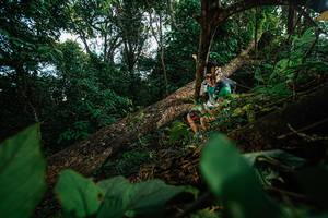 BIB: 
                            <button type="button" onclick="openModal(22777302)" class="btn btn-primary btn-sm float-right btn-popup" data-toggle="modal" data-target=".modal-high-quality">
                        <i class="fas fa-shopping-cart"></i> Add to Cart
                    </button>
                                            <button type="button" onclick="isThisMe(22777302, true)" class="btn btn-success btn-sm float-right btn-popup btn-isme hidden" data-toggle="tooltip" data-placement="bottom" title="นี่คือรูปของคุณใช่ไหม คลิกที่นี่เพื่อเอาเข้าอัลบั้ม">
                        <i class="fas fa-plus"></i> Add to album
                    </button>
                    <button type="button" onclick="isThisMe(22777302, false)" class="btn btn-warning btn-sm float-right btn-popup btn-isnotme hidden">
                        <i class="fas fa-ban"></i> Remove from album
                    </button>