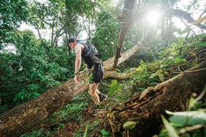 BIB: 
                            <button type="button" onclick="openModal(22777591)" class="btn btn-primary btn-sm float-right btn-popup" data-toggle="modal" data-target=".modal-high-quality">
                        <i class="fas fa-shopping-cart"></i> Add to Cart
                    </button>
                                            <button type="button" onclick="isThisMe(22777591, true)" class="btn btn-success btn-sm float-right btn-popup btn-isme hidden" data-toggle="tooltip" data-placement="bottom" title="นี่คือรูปของคุณใช่ไหม คลิกที่นี่เพื่อเอาเข้าอัลบั้ม">
                        <i class="fas fa-plus"></i> Add to album
                    </button>
                    <button type="button" onclick="isThisMe(22777591, false)" class="btn btn-warning btn-sm float-right btn-popup btn-isnotme hidden">
                        <i class="fas fa-ban"></i> Remove from album
                    </button>