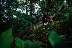 BIB: 
                            <button type="button" onclick="openModal(22777379)" class="btn btn-primary btn-sm float-right btn-popup" data-toggle="modal" data-target=".modal-high-quality">
                        <i class="fas fa-shopping-cart"></i> Add to Cart
                    </button>
                                            <button type="button" onclick="isThisMe(22777379, true)" class="btn btn-success btn-sm float-right btn-popup btn-isme hidden" data-toggle="tooltip" data-placement="bottom" title="นี่คือรูปของคุณใช่ไหม คลิกที่นี่เพื่อเอาเข้าอัลบั้ม">
                        <i class="fas fa-plus"></i> Add to album
                    </button>
                    <button type="button" onclick="isThisMe(22777379, false)" class="btn btn-warning btn-sm float-right btn-popup btn-isnotme hidden">
                        <i class="fas fa-ban"></i> Remove from album
                    </button>