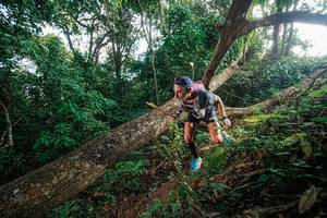 BIB: 
                            <button type="button" onclick="openModal(22777540)" class="btn btn-primary btn-sm float-right btn-popup" data-toggle="modal" data-target=".modal-high-quality">
                        <i class="fas fa-shopping-cart"></i> Add to Cart
                    </button>
                                            <button type="button" onclick="isThisMe(22777540, true)" class="btn btn-success btn-sm float-right btn-popup btn-isme hidden" data-toggle="tooltip" data-placement="bottom" title="นี่คือรูปของคุณใช่ไหม คลิกที่นี่เพื่อเอาเข้าอัลบั้ม">
                        <i class="fas fa-plus"></i> Add to album
                    </button>
                    <button type="button" onclick="isThisMe(22777540, false)" class="btn btn-warning btn-sm float-right btn-popup btn-isnotme hidden">
                        <i class="fas fa-ban"></i> Remove from album
                    </button>