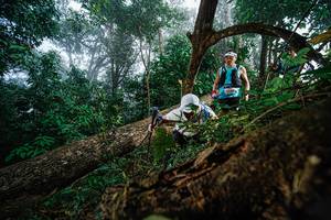 BIB: 
                            <button type="button" onclick="openModal(22778819)" class="btn btn-primary btn-sm float-right btn-popup" data-toggle="modal" data-target=".modal-high-quality">
                        <i class="fas fa-shopping-cart"></i> Add to Cart
                    </button>
                                            <button type="button" onclick="isThisMe(22778819, true)" class="btn btn-success btn-sm float-right btn-popup btn-isme hidden" data-toggle="tooltip" data-placement="bottom" title="นี่คือรูปของคุณใช่ไหม คลิกที่นี่เพื่อเอาเข้าอัลบั้ม">
                        <i class="fas fa-plus"></i> Add to album
                    </button>
                    <button type="button" onclick="isThisMe(22778819, false)" class="btn btn-warning btn-sm float-right btn-popup btn-isnotme hidden">
                        <i class="fas fa-ban"></i> Remove from album
                    </button>