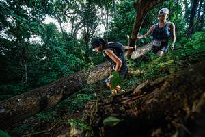 BIB: 
                            <button type="button" onclick="openModal(22778363)" class="btn btn-primary btn-sm float-right btn-popup" data-toggle="modal" data-target=".modal-high-quality">
                        <i class="fas fa-shopping-cart"></i> Add to Cart
                    </button>
                                            <button type="button" onclick="isThisMe(22778363, true)" class="btn btn-success btn-sm float-right btn-popup btn-isme hidden" data-toggle="tooltip" data-placement="bottom" title="นี่คือรูปของคุณใช่ไหม คลิกที่นี่เพื่อเอาเข้าอัลบั้ม">
                        <i class="fas fa-plus"></i> Add to album
                    </button>
                    <button type="button" onclick="isThisMe(22778363, false)" class="btn btn-warning btn-sm float-right btn-popup btn-isnotme hidden">
                        <i class="fas fa-ban"></i> Remove from album
                    </button>