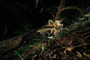 BIB: 
                            <button type="button" onclick="openModal(22774364)" class="btn btn-primary btn-sm float-right btn-popup" data-toggle="modal" data-target=".modal-high-quality">
                        <i class="fas fa-shopping-cart"></i> Add to Cart
                    </button>
                                            <button type="button" onclick="isThisMe(22774364, true)" class="btn btn-success btn-sm float-right btn-popup btn-isme hidden" data-toggle="tooltip" data-placement="bottom" title="นี่คือรูปของคุณใช่ไหม คลิกที่นี่เพื่อเอาเข้าอัลบั้ม">
                        <i class="fas fa-plus"></i> Add to album
                    </button>
                    <button type="button" onclick="isThisMe(22774364, false)" class="btn btn-warning btn-sm float-right btn-popup btn-isnotme hidden">
                        <i class="fas fa-ban"></i> Remove from album
                    </button>