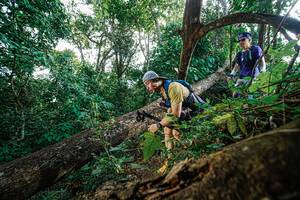 BIB: 
                            <button type="button" onclick="openModal(22778563)" class="btn btn-primary btn-sm float-right btn-popup" data-toggle="modal" data-target=".modal-high-quality">
                        <i class="fas fa-shopping-cart"></i> Add to Cart
                    </button>
                                            <button type="button" onclick="isThisMe(22778563, true)" class="btn btn-success btn-sm float-right btn-popup btn-isme hidden" data-toggle="tooltip" data-placement="bottom" title="นี่คือรูปของคุณใช่ไหม คลิกที่นี่เพื่อเอาเข้าอัลบั้ม">
                        <i class="fas fa-plus"></i> Add to album
                    </button>
                    <button type="button" onclick="isThisMe(22778563, false)" class="btn btn-warning btn-sm float-right btn-popup btn-isnotme hidden">
                        <i class="fas fa-ban"></i> Remove from album
                    </button>