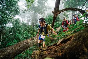 BIB: 685, 1592
                            <button type="button" onclick="openModal(22778903)" class="btn btn-primary btn-sm float-right btn-popup" data-toggle="modal" data-target=".modal-high-quality">
                        <i class="fas fa-shopping-cart"></i> Add to Cart
                    </button>
                                            <button type="button" onclick="isThisMe(22778903, true)" class="btn btn-success btn-sm float-right btn-popup btn-isme hidden" data-toggle="tooltip" data-placement="bottom" title="นี่คือรูปของคุณใช่ไหม คลิกที่นี่เพื่อเอาเข้าอัลบั้ม">
                        <i class="fas fa-plus"></i> Add to album
                    </button>
                    <button type="button" onclick="isThisMe(22778903, false)" class="btn btn-warning btn-sm float-right btn-popup btn-isnotme hidden">
                        <i class="fas fa-ban"></i> Remove from album
                    </button>