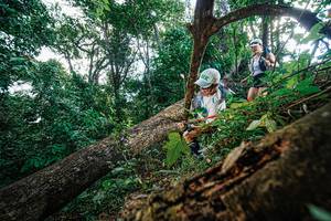 BIB: 
                            <button type="button" onclick="openModal(22778133)" class="btn btn-primary btn-sm float-right btn-popup" data-toggle="modal" data-target=".modal-high-quality">
                        <i class="fas fa-shopping-cart"></i> Add to Cart
                    </button>
                                            <button type="button" onclick="isThisMe(22778133, true)" class="btn btn-success btn-sm float-right btn-popup btn-isme hidden" data-toggle="tooltip" data-placement="bottom" title="นี่คือรูปของคุณใช่ไหม คลิกที่นี่เพื่อเอาเข้าอัลบั้ม">
                        <i class="fas fa-plus"></i> Add to album
                    </button>
                    <button type="button" onclick="isThisMe(22778133, false)" class="btn btn-warning btn-sm float-right btn-popup btn-isnotme hidden">
                        <i class="fas fa-ban"></i> Remove from album
                    </button>