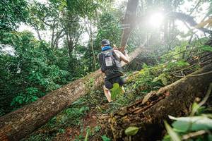 BIB: 
                            <button type="button" onclick="openModal(22777588)" class="btn btn-primary btn-sm float-right btn-popup" data-toggle="modal" data-target=".modal-high-quality">
                        <i class="fas fa-shopping-cart"></i> Add to Cart
                    </button>
                                            <button type="button" onclick="isThisMe(22777588, true)" class="btn btn-success btn-sm float-right btn-popup btn-isme hidden" data-toggle="tooltip" data-placement="bottom" title="นี่คือรูปของคุณใช่ไหม คลิกที่นี่เพื่อเอาเข้าอัลบั้ม">
                        <i class="fas fa-plus"></i> Add to album
                    </button>
                    <button type="button" onclick="isThisMe(22777588, false)" class="btn btn-warning btn-sm float-right btn-popup btn-isnotme hidden">
                        <i class="fas fa-ban"></i> Remove from album
                    </button>