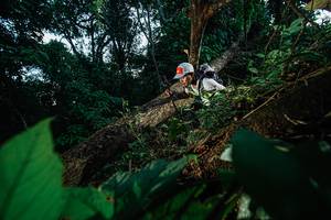 BIB: 
                            <button type="button" onclick="openModal(22775317)" class="btn btn-primary btn-sm float-right btn-popup" data-toggle="modal" data-target=".modal-high-quality">
                        <i class="fas fa-shopping-cart"></i> Add to Cart
                    </button>
                                            <button type="button" onclick="isThisMe(22775317, true)" class="btn btn-success btn-sm float-right btn-popup btn-isme hidden" data-toggle="tooltip" data-placement="bottom" title="นี่คือรูปของคุณใช่ไหม คลิกที่นี่เพื่อเอาเข้าอัลบั้ม">
                        <i class="fas fa-plus"></i> Add to album
                    </button>
                    <button type="button" onclick="isThisMe(22775317, false)" class="btn btn-warning btn-sm float-right btn-popup btn-isnotme hidden">
                        <i class="fas fa-ban"></i> Remove from album
                    </button>