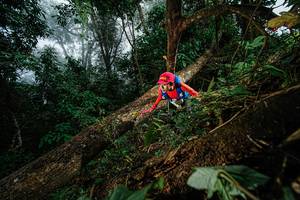 BIB: 
                            <button type="button" onclick="openModal(22775720)" class="btn btn-primary btn-sm float-right btn-popup" data-toggle="modal" data-target=".modal-high-quality">
                        <i class="fas fa-shopping-cart"></i> Add to Cart
                    </button>
                                            <button type="button" onclick="isThisMe(22775720, true)" class="btn btn-success btn-sm float-right btn-popup btn-isme hidden" data-toggle="tooltip" data-placement="bottom" title="นี่คือรูปของคุณใช่ไหม คลิกที่นี่เพื่อเอาเข้าอัลบั้ม">
                        <i class="fas fa-plus"></i> Add to album
                    </button>
                    <button type="button" onclick="isThisMe(22775720, false)" class="btn btn-warning btn-sm float-right btn-popup btn-isnotme hidden">
                        <i class="fas fa-ban"></i> Remove from album
                    </button>