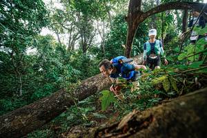 BIB: 
                            <button type="button" onclick="openModal(22778540)" class="btn btn-primary btn-sm float-right btn-popup" data-toggle="modal" data-target=".modal-high-quality">
                        <i class="fas fa-shopping-cart"></i> Add to Cart
                    </button>
                                            <button type="button" onclick="isThisMe(22778540, true)" class="btn btn-success btn-sm float-right btn-popup btn-isme hidden" data-toggle="tooltip" data-placement="bottom" title="นี่คือรูปของคุณใช่ไหม คลิกที่นี่เพื่อเอาเข้าอัลบั้ม">
                        <i class="fas fa-plus"></i> Add to album
                    </button>
                    <button type="button" onclick="isThisMe(22778540, false)" class="btn btn-warning btn-sm float-right btn-popup btn-isnotme hidden">
                        <i class="fas fa-ban"></i> Remove from album
                    </button>