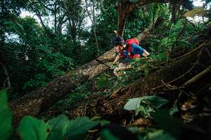 BIB: 
                            <button type="button" onclick="openModal(22777184)" class="btn btn-primary btn-sm float-right btn-popup" data-toggle="modal" data-target=".modal-high-quality">
                        <i class="fas fa-shopping-cart"></i> Add to Cart
                    </button>
                                            <button type="button" onclick="isThisMe(22777184, true)" class="btn btn-success btn-sm float-right btn-popup btn-isme hidden" data-toggle="tooltip" data-placement="bottom" title="นี่คือรูปของคุณใช่ไหม คลิกที่นี่เพื่อเอาเข้าอัลบั้ม">
                        <i class="fas fa-plus"></i> Add to album
                    </button>
                    <button type="button" onclick="isThisMe(22777184, false)" class="btn btn-warning btn-sm float-right btn-popup btn-isnotme hidden">
                        <i class="fas fa-ban"></i> Remove from album
                    </button>