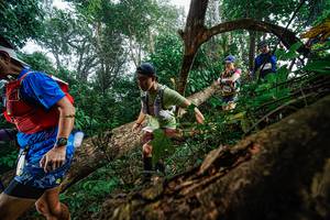 BIB: 
                            <button type="button" onclick="openModal(22778755)" class="btn btn-primary btn-sm float-right btn-popup" data-toggle="modal" data-target=".modal-high-quality">
                        <i class="fas fa-shopping-cart"></i> Add to Cart
                    </button>
                                            <button type="button" onclick="isThisMe(22778755, true)" class="btn btn-success btn-sm float-right btn-popup btn-isme hidden" data-toggle="tooltip" data-placement="bottom" title="นี่คือรูปของคุณใช่ไหม คลิกที่นี่เพื่อเอาเข้าอัลบั้ม">
                        <i class="fas fa-plus"></i> Add to album
                    </button>
                    <button type="button" onclick="isThisMe(22778755, false)" class="btn btn-warning btn-sm float-right btn-popup btn-isnotme hidden">
                        <i class="fas fa-ban"></i> Remove from album
                    </button>