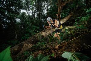 BIB: 
                            <button type="button" onclick="openModal(22776720)" class="btn btn-primary btn-sm float-right btn-popup" data-toggle="modal" data-target=".modal-high-quality">
                        <i class="fas fa-shopping-cart"></i> Add to Cart
                    </button>
                                            <button type="button" onclick="isThisMe(22776720, true)" class="btn btn-success btn-sm float-right btn-popup btn-isme hidden" data-toggle="tooltip" data-placement="bottom" title="นี่คือรูปของคุณใช่ไหม คลิกที่นี่เพื่อเอาเข้าอัลบั้ม">
                        <i class="fas fa-plus"></i> Add to album
                    </button>
                    <button type="button" onclick="isThisMe(22776720, false)" class="btn btn-warning btn-sm float-right btn-popup btn-isnotme hidden">
                        <i class="fas fa-ban"></i> Remove from album
                    </button>