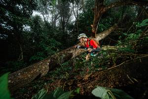 BIB: 
                            <button type="button" onclick="openModal(22776721)" class="btn btn-primary btn-sm float-right btn-popup" data-toggle="modal" data-target=".modal-high-quality">
                        <i class="fas fa-shopping-cart"></i> Add to Cart
                    </button>
                                            <button type="button" onclick="isThisMe(22776721, true)" class="btn btn-success btn-sm float-right btn-popup btn-isme hidden" data-toggle="tooltip" data-placement="bottom" title="นี่คือรูปของคุณใช่ไหม คลิกที่นี่เพื่อเอาเข้าอัลบั้ม">
                        <i class="fas fa-plus"></i> Add to album
                    </button>
                    <button type="button" onclick="isThisMe(22776721, false)" class="btn btn-warning btn-sm float-right btn-popup btn-isnotme hidden">
                        <i class="fas fa-ban"></i> Remove from album
                    </button>