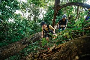 BIB: 
                            <button type="button" onclick="openModal(22778567)" class="btn btn-primary btn-sm float-right btn-popup" data-toggle="modal" data-target=".modal-high-quality">
                        <i class="fas fa-shopping-cart"></i> Add to Cart
                    </button>
                                            <button type="button" onclick="isThisMe(22778567, true)" class="btn btn-success btn-sm float-right btn-popup btn-isme hidden" data-toggle="tooltip" data-placement="bottom" title="นี่คือรูปของคุณใช่ไหม คลิกที่นี่เพื่อเอาเข้าอัลบั้ม">
                        <i class="fas fa-plus"></i> Add to album
                    </button>
                    <button type="button" onclick="isThisMe(22778567, false)" class="btn btn-warning btn-sm float-right btn-popup btn-isnotme hidden">
                        <i class="fas fa-ban"></i> Remove from album
                    </button>