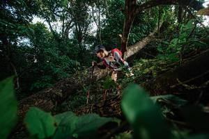 BIB: 
                            <button type="button" onclick="openModal(22777309)" class="btn btn-primary btn-sm float-right btn-popup" data-toggle="modal" data-target=".modal-high-quality">
                        <i class="fas fa-shopping-cart"></i> Add to Cart
                    </button>
                                            <button type="button" onclick="isThisMe(22777309, true)" class="btn btn-success btn-sm float-right btn-popup btn-isme hidden" data-toggle="tooltip" data-placement="bottom" title="นี่คือรูปของคุณใช่ไหม คลิกที่นี่เพื่อเอาเข้าอัลบั้ม">
                        <i class="fas fa-plus"></i> Add to album
                    </button>
                    <button type="button" onclick="isThisMe(22777309, false)" class="btn btn-warning btn-sm float-right btn-popup btn-isnotme hidden">
                        <i class="fas fa-ban"></i> Remove from album
                    </button>