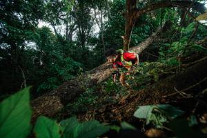 BIB: 
                            <button type="button" onclick="openModal(22776934)" class="btn btn-primary btn-sm float-right btn-popup" data-toggle="modal" data-target=".modal-high-quality">
                        <i class="fas fa-shopping-cart"></i> Add to Cart
                    </button>
                                            <button type="button" onclick="isThisMe(22776934, true)" class="btn btn-success btn-sm float-right btn-popup btn-isme hidden" data-toggle="tooltip" data-placement="bottom" title="นี่คือรูปของคุณใช่ไหม คลิกที่นี่เพื่อเอาเข้าอัลบั้ม">
                        <i class="fas fa-plus"></i> Add to album
                    </button>
                    <button type="button" onclick="isThisMe(22776934, false)" class="btn btn-warning btn-sm float-right btn-popup btn-isnotme hidden">
                        <i class="fas fa-ban"></i> Remove from album
                    </button>