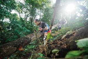 BIB: 
                            <button type="button" onclick="openModal(22777888)" class="btn btn-primary btn-sm float-right btn-popup" data-toggle="modal" data-target=".modal-high-quality">
                        <i class="fas fa-shopping-cart"></i> Add to Cart
                    </button>
                                            <button type="button" onclick="isThisMe(22777888, true)" class="btn btn-success btn-sm float-right btn-popup btn-isme hidden" data-toggle="tooltip" data-placement="bottom" title="นี่คือรูปของคุณใช่ไหม คลิกที่นี่เพื่อเอาเข้าอัลบั้ม">
                        <i class="fas fa-plus"></i> Add to album
                    </button>
                    <button type="button" onclick="isThisMe(22777888, false)" class="btn btn-warning btn-sm float-right btn-popup btn-isnotme hidden">
                        <i class="fas fa-ban"></i> Remove from album
                    </button>