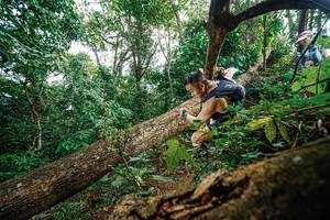 BIB: 
                            <button type="button" onclick="openModal(22778530)" class="btn btn-primary btn-sm float-right btn-popup" data-toggle="modal" data-target=".modal-high-quality">
                        <i class="fas fa-shopping-cart"></i> Add to Cart
                    </button>
                                            <button type="button" onclick="isThisMe(22778530, true)" class="btn btn-success btn-sm float-right btn-popup btn-isme hidden" data-toggle="tooltip" data-placement="bottom" title="นี่คือรูปของคุณใช่ไหม คลิกที่นี่เพื่อเอาเข้าอัลบั้ม">
                        <i class="fas fa-plus"></i> Add to album
                    </button>
                    <button type="button" onclick="isThisMe(22778530, false)" class="btn btn-warning btn-sm float-right btn-popup btn-isnotme hidden">
                        <i class="fas fa-ban"></i> Remove from album
                    </button>