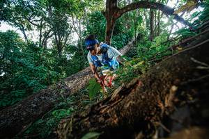 BIB: 
                            <button type="button" onclick="openModal(22778384)" class="btn btn-primary btn-sm float-right btn-popup" data-toggle="modal" data-target=".modal-high-quality">
                        <i class="fas fa-shopping-cart"></i> Add to Cart
                    </button>
                                            <button type="button" onclick="isThisMe(22778384, true)" class="btn btn-success btn-sm float-right btn-popup btn-isme hidden" data-toggle="tooltip" data-placement="bottom" title="นี่คือรูปของคุณใช่ไหม คลิกที่นี่เพื่อเอาเข้าอัลบั้ม">
                        <i class="fas fa-plus"></i> Add to album
                    </button>
                    <button type="button" onclick="isThisMe(22778384, false)" class="btn btn-warning btn-sm float-right btn-popup btn-isnotme hidden">
                        <i class="fas fa-ban"></i> Remove from album
                    </button>