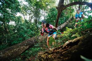 BIB: 
                            <button type="button" onclick="openModal(22778040)" class="btn btn-primary btn-sm float-right btn-popup" data-toggle="modal" data-target=".modal-high-quality">
                        <i class="fas fa-shopping-cart"></i> Add to Cart
                    </button>
                                            <button type="button" onclick="isThisMe(22778040, true)" class="btn btn-success btn-sm float-right btn-popup btn-isme hidden" data-toggle="tooltip" data-placement="bottom" title="นี่คือรูปของคุณใช่ไหม คลิกที่นี่เพื่อเอาเข้าอัลบั้ม">
                        <i class="fas fa-plus"></i> Add to album
                    </button>
                    <button type="button" onclick="isThisMe(22778040, false)" class="btn btn-warning btn-sm float-right btn-popup btn-isnotme hidden">
                        <i class="fas fa-ban"></i> Remove from album
                    </button>