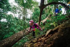 BIB: 
                            <button type="button" onclick="openModal(22779303)" class="btn btn-primary btn-sm float-right btn-popup" data-toggle="modal" data-target=".modal-high-quality">
                        <i class="fas fa-shopping-cart"></i> Add to Cart
                    </button>
                                            <button type="button" onclick="isThisMe(22779303, true)" class="btn btn-success btn-sm float-right btn-popup btn-isme hidden" data-toggle="tooltip" data-placement="bottom" title="นี่คือรูปของคุณใช่ไหม คลิกที่นี่เพื่อเอาเข้าอัลบั้ม">
                        <i class="fas fa-plus"></i> Add to album
                    </button>
                    <button type="button" onclick="isThisMe(22779303, false)" class="btn btn-warning btn-sm float-right btn-popup btn-isnotme hidden">
                        <i class="fas fa-ban"></i> Remove from album
                    </button>