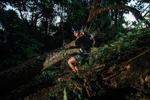 BIB: 
                            <button type="button" onclick="openModal(22774718)" class="btn btn-primary btn-sm float-right btn-popup" data-toggle="modal" data-target=".modal-high-quality">
                        <i class="fas fa-shopping-cart"></i> Add to Cart
                    </button>
                                            <button type="button" onclick="isThisMe(22774718, true)" class="btn btn-success btn-sm float-right btn-popup btn-isme hidden" data-toggle="tooltip" data-placement="bottom" title="นี่คือรูปของคุณใช่ไหม คลิกที่นี่เพื่อเอาเข้าอัลบั้ม">
                        <i class="fas fa-plus"></i> Add to album
                    </button>
                    <button type="button" onclick="isThisMe(22774718, false)" class="btn btn-warning btn-sm float-right btn-popup btn-isnotme hidden">
                        <i class="fas fa-ban"></i> Remove from album
                    </button>