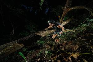 BIB: 
                            <button type="button" onclick="openModal(22774368)" class="btn btn-primary btn-sm float-right btn-popup" data-toggle="modal" data-target=".modal-high-quality">
                        <i class="fas fa-shopping-cart"></i> Add to Cart
                    </button>
                                            <button type="button" onclick="isThisMe(22774368, true)" class="btn btn-success btn-sm float-right btn-popup btn-isme hidden" data-toggle="tooltip" data-placement="bottom" title="นี่คือรูปของคุณใช่ไหม คลิกที่นี่เพื่อเอาเข้าอัลบั้ม">
                        <i class="fas fa-plus"></i> Add to album
                    </button>
                    <button type="button" onclick="isThisMe(22774368, false)" class="btn btn-warning btn-sm float-right btn-popup btn-isnotme hidden">
                        <i class="fas fa-ban"></i> Remove from album
                    </button>