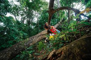 BIB: 
                            <button type="button" onclick="openModal(22778312)" class="btn btn-primary btn-sm float-right btn-popup" data-toggle="modal" data-target=".modal-high-quality">
                        <i class="fas fa-shopping-cart"></i> Add to Cart
                    </button>
                                            <button type="button" onclick="isThisMe(22778312, true)" class="btn btn-success btn-sm float-right btn-popup btn-isme hidden" data-toggle="tooltip" data-placement="bottom" title="นี่คือรูปของคุณใช่ไหม คลิกที่นี่เพื่อเอาเข้าอัลบั้ม">
                        <i class="fas fa-plus"></i> Add to album
                    </button>
                    <button type="button" onclick="isThisMe(22778312, false)" class="btn btn-warning btn-sm float-right btn-popup btn-isnotme hidden">
                        <i class="fas fa-ban"></i> Remove from album
                    </button>