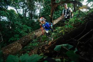 BIB: 
                            <button type="button" onclick="openModal(22777155)" class="btn btn-primary btn-sm float-right btn-popup" data-toggle="modal" data-target=".modal-high-quality">
                        <i class="fas fa-shopping-cart"></i> Add to Cart
                    </button>
                                            <button type="button" onclick="isThisMe(22777155, true)" class="btn btn-success btn-sm float-right btn-popup btn-isme hidden" data-toggle="tooltip" data-placement="bottom" title="นี่คือรูปของคุณใช่ไหม คลิกที่นี่เพื่อเอาเข้าอัลบั้ม">
                        <i class="fas fa-plus"></i> Add to album
                    </button>
                    <button type="button" onclick="isThisMe(22777155, false)" class="btn btn-warning btn-sm float-right btn-popup btn-isnotme hidden">
                        <i class="fas fa-ban"></i> Remove from album
                    </button>