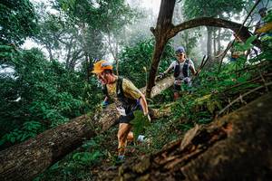 BIB: 
                            <button type="button" onclick="openModal(22778742)" class="btn btn-primary btn-sm float-right btn-popup" data-toggle="modal" data-target=".modal-high-quality">
                        <i class="fas fa-shopping-cart"></i> Add to Cart
                    </button>
                                            <button type="button" onclick="isThisMe(22778742, true)" class="btn btn-success btn-sm float-right btn-popup btn-isme hidden" data-toggle="tooltip" data-placement="bottom" title="นี่คือรูปของคุณใช่ไหม คลิกที่นี่เพื่อเอาเข้าอัลบั้ม">
                        <i class="fas fa-plus"></i> Add to album
                    </button>
                    <button type="button" onclick="isThisMe(22778742, false)" class="btn btn-warning btn-sm float-right btn-popup btn-isnotme hidden">
                        <i class="fas fa-ban"></i> Remove from album
                    </button>