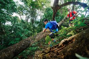 BIB: 
                            <button type="button" onclick="openModal(22778022)" class="btn btn-primary btn-sm float-right btn-popup" data-toggle="modal" data-target=".modal-high-quality">
                        <i class="fas fa-shopping-cart"></i> Add to Cart
                    </button>
                                            <button type="button" onclick="isThisMe(22778022, true)" class="btn btn-success btn-sm float-right btn-popup btn-isme hidden" data-toggle="tooltip" data-placement="bottom" title="นี่คือรูปของคุณใช่ไหม คลิกที่นี่เพื่อเอาเข้าอัลบั้ม">
                        <i class="fas fa-plus"></i> Add to album
                    </button>
                    <button type="button" onclick="isThisMe(22778022, false)" class="btn btn-warning btn-sm float-right btn-popup btn-isnotme hidden">
                        <i class="fas fa-ban"></i> Remove from album
                    </button>