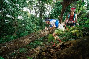 BIB: 52381
                            <button type="button" onclick="openModal(22778499)" class="btn btn-primary btn-sm float-right btn-popup" data-toggle="modal" data-target=".modal-high-quality">
                        <i class="fas fa-shopping-cart"></i> Add to Cart
                    </button>
                                            <button type="button" onclick="isThisMe(22778499, true)" class="btn btn-success btn-sm float-right btn-popup btn-isme hidden" data-toggle="tooltip" data-placement="bottom" title="นี่คือรูปของคุณใช่ไหม คลิกที่นี่เพื่อเอาเข้าอัลบั้ม">
                        <i class="fas fa-plus"></i> Add to album
                    </button>
                    <button type="button" onclick="isThisMe(22778499, false)" class="btn btn-warning btn-sm float-right btn-popup btn-isnotme hidden">
                        <i class="fas fa-ban"></i> Remove from album
                    </button>