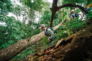 BIB: 
                            <button type="button" onclick="openModal(22779318)" class="btn btn-primary btn-sm float-right btn-popup" data-toggle="modal" data-target=".modal-high-quality">
                        <i class="fas fa-shopping-cart"></i> Add to Cart
                    </button>
                                            <button type="button" onclick="isThisMe(22779318, true)" class="btn btn-success btn-sm float-right btn-popup btn-isme hidden" data-toggle="tooltip" data-placement="bottom" title="นี่คือรูปของคุณใช่ไหม คลิกที่นี่เพื่อเอาเข้าอัลบั้ม">
                        <i class="fas fa-plus"></i> Add to album
                    </button>
                    <button type="button" onclick="isThisMe(22779318, false)" class="btn btn-warning btn-sm float-right btn-popup btn-isnotme hidden">
                        <i class="fas fa-ban"></i> Remove from album
                    </button>